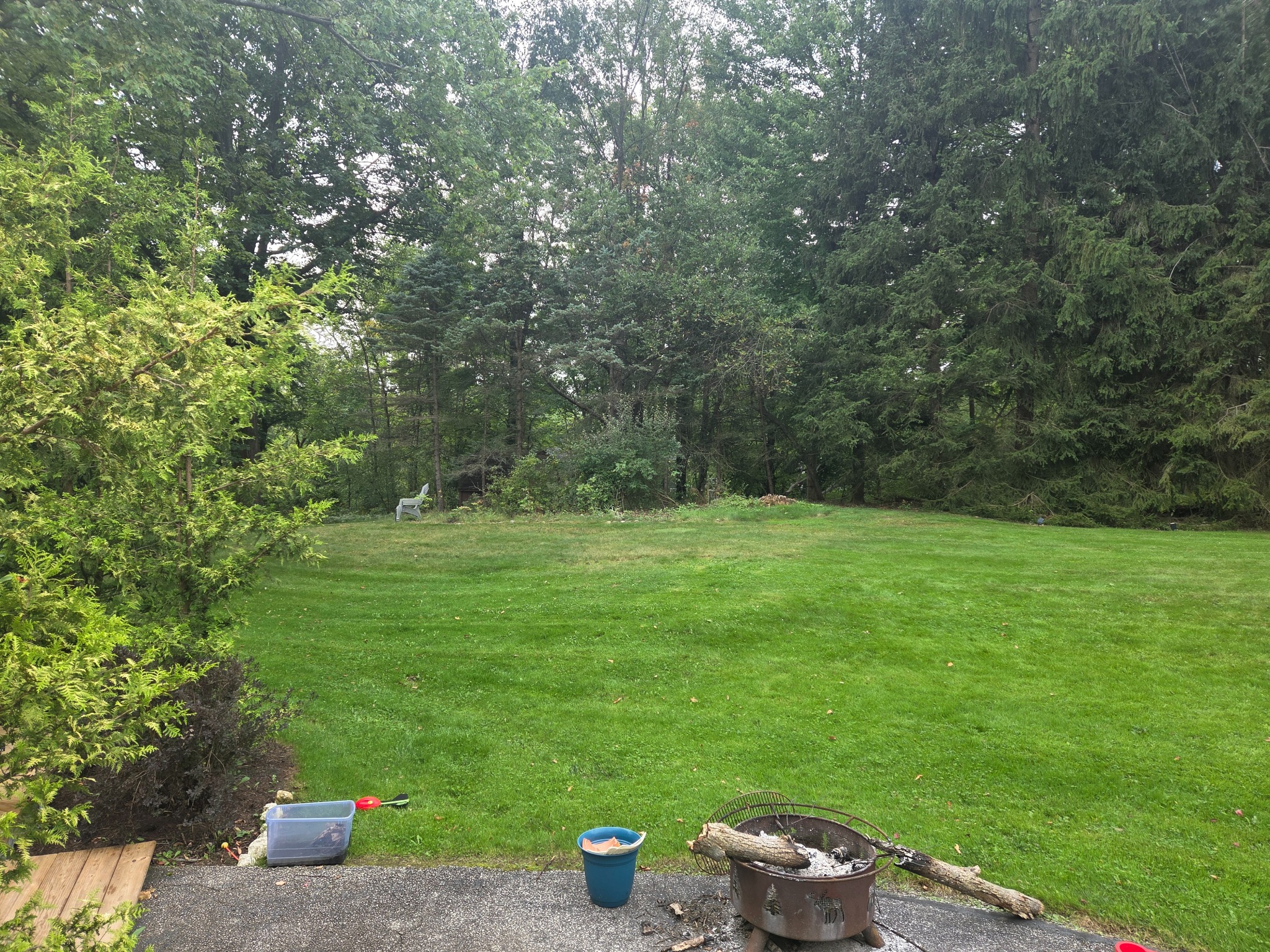 Wooded hillside where two raised garden beds will be built