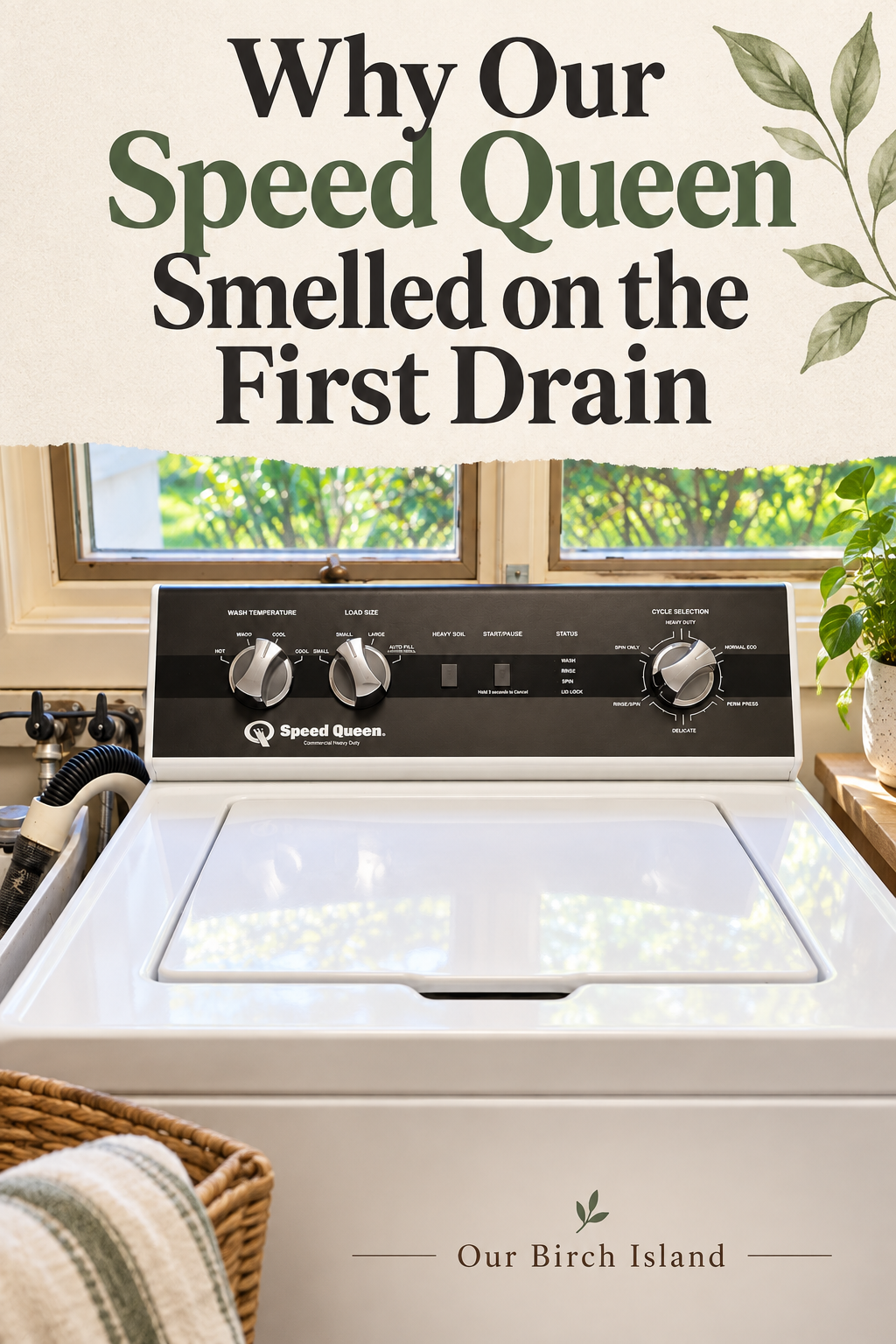 Why Our Speed Queen Smelled on the First Drain Pinterest graphic
