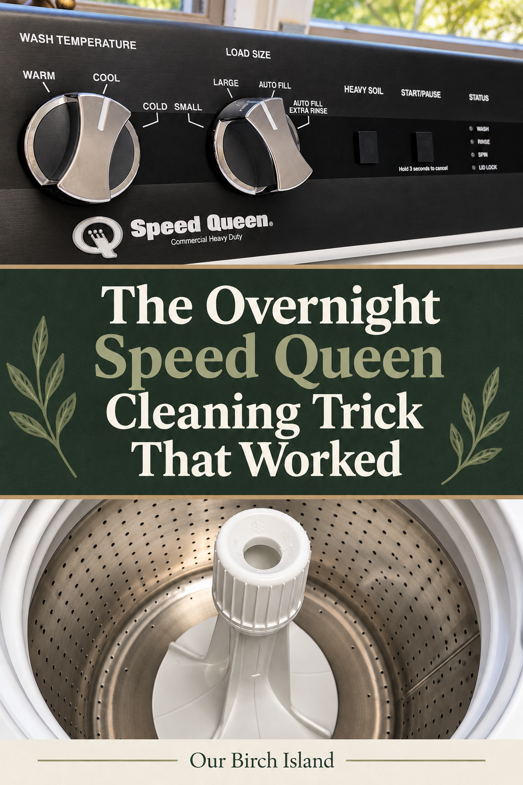 The Overnight Speed Queen Cleaning Trick That Worked Pinterest graphic